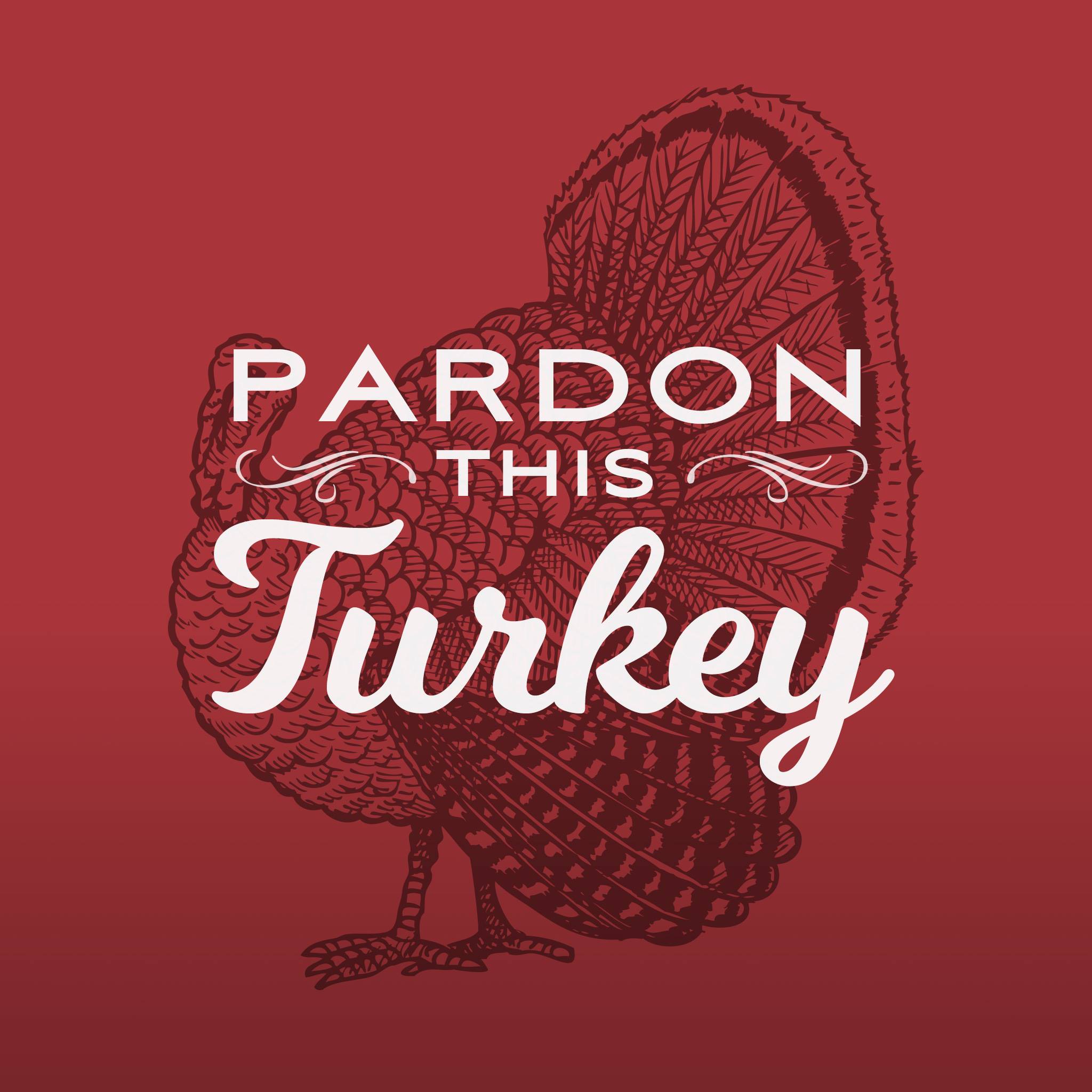 15111110_1621622571197314_7207933492550979823_o